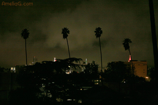 los angeles noir rain soaked streets and palm trees